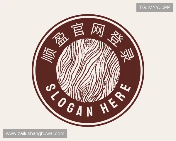 关于顺盈官网登录